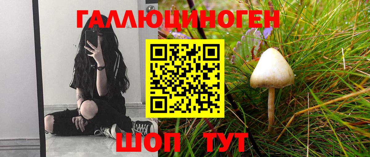 Галлюциногенные грибы Cubensis Гулькевичи